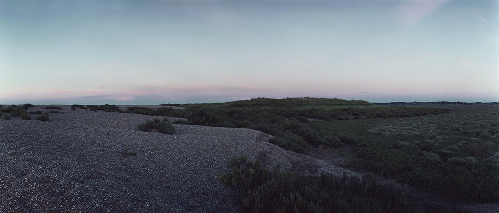 Chrystel Lebas: Re-visiting Shingle mobility between Suæda bushes, Blakeney. 27/3/13 Plate n°237, Blakeney, June 2014. 52°58.426’N 1°0.674’E