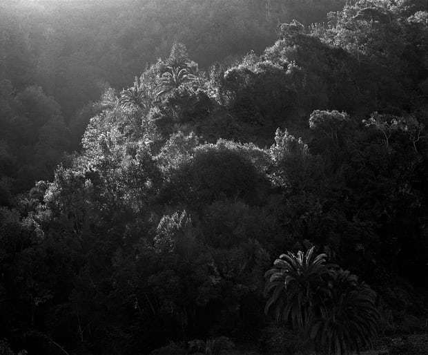 #364-18 by Awoiska Van Der Molen. Photograph: courtesy of Purdy Hicks Gallery and Kristof De Clercq gallery