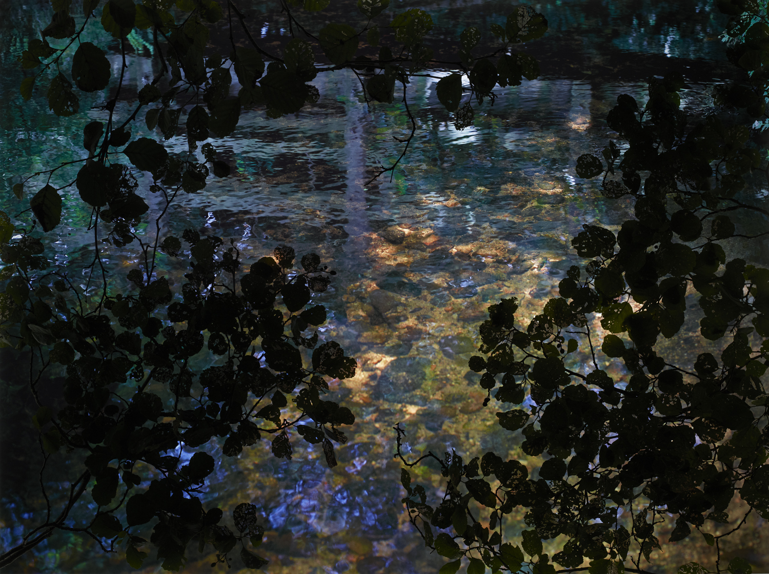 Susan Derges, Alder Brook 1, 2012