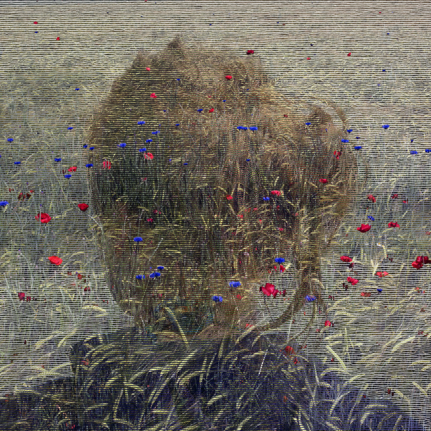 Helen Sear
