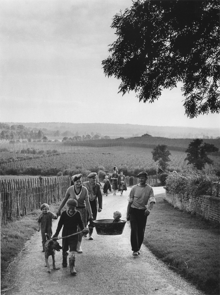 Hopping Holiday, Kent, 1951