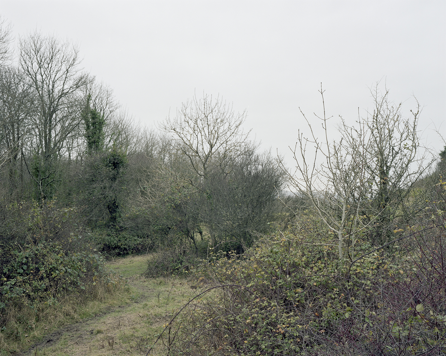 Guy Moreton