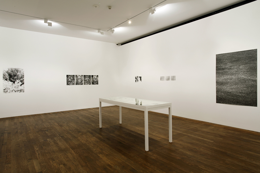 Installation View, Jochen Lempert, Deutsche Börse Photography Prize 2014, The Photographers' Gallery, 2014. Photo Credit: Kate Elliott. Courtesy of The Photographers’ Gallery Archive.