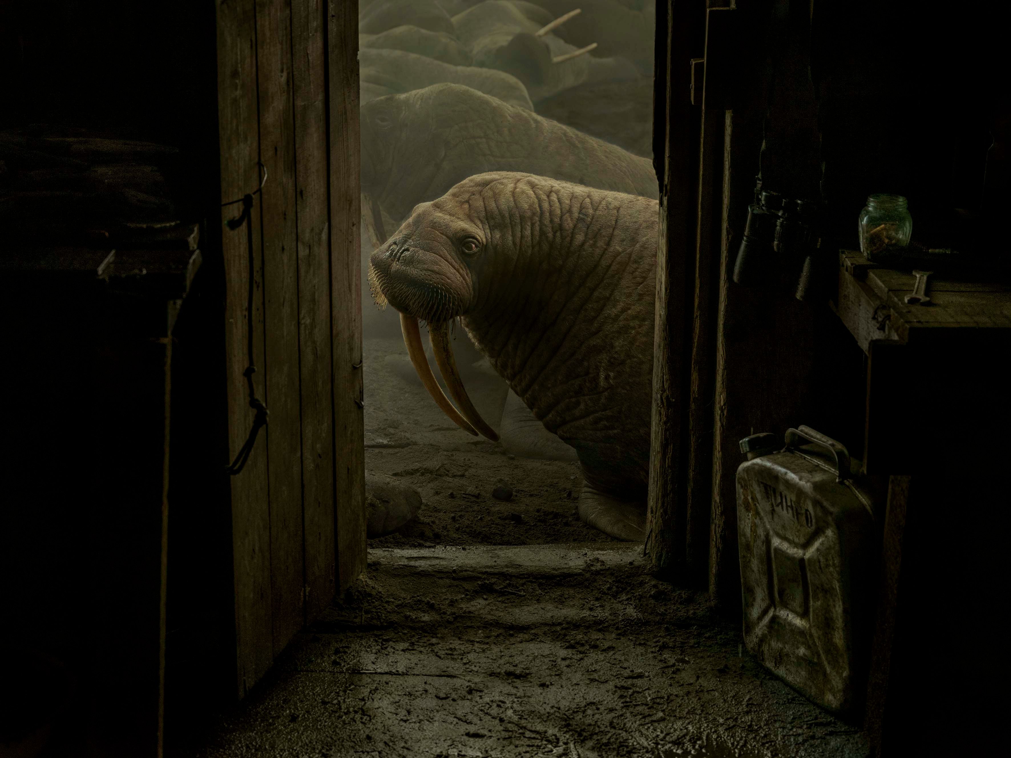 Photo: From the series Chukotka © Evgenia Arbugaeva Courtesy the artist and The Photographers’ Gallery