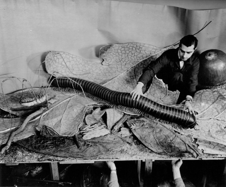 Ray de Lucia installing models (The forest floor in the hall of forests). © American Museum of Natural History, New York. Photographer: Alex J. Rota, 1958