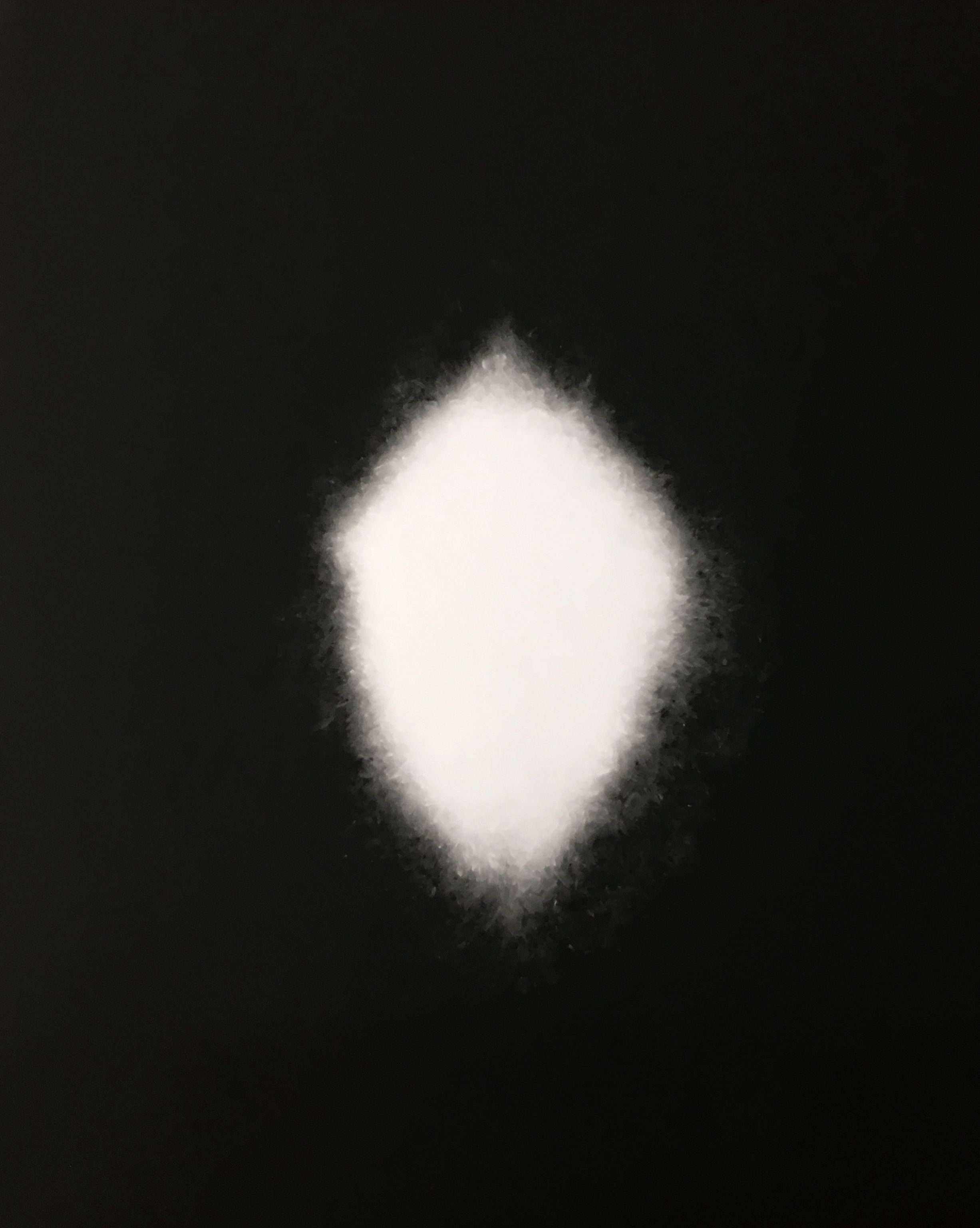 Rice © Lucia Pizzani