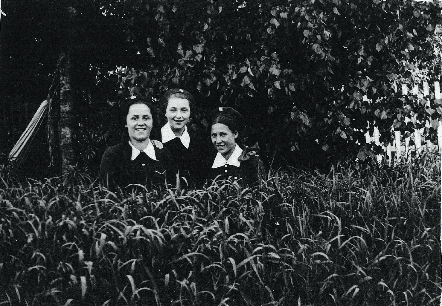 Roman Vishniac