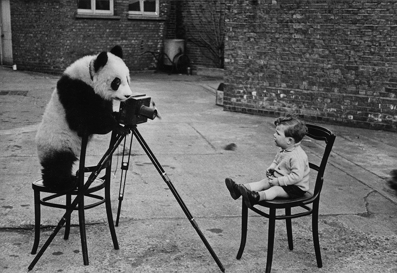 The Pandographer, 1939
