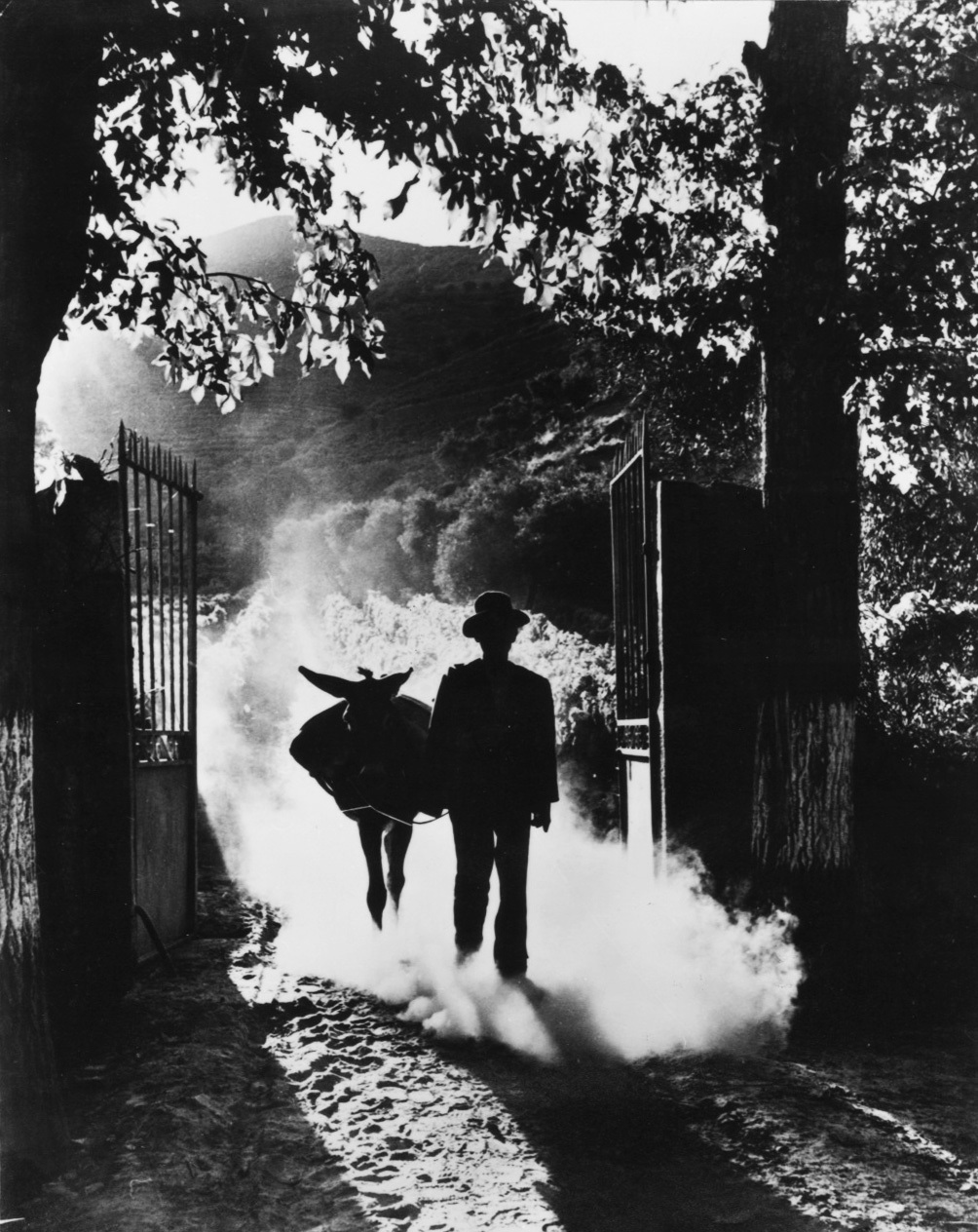 The Port Harvest, 1951