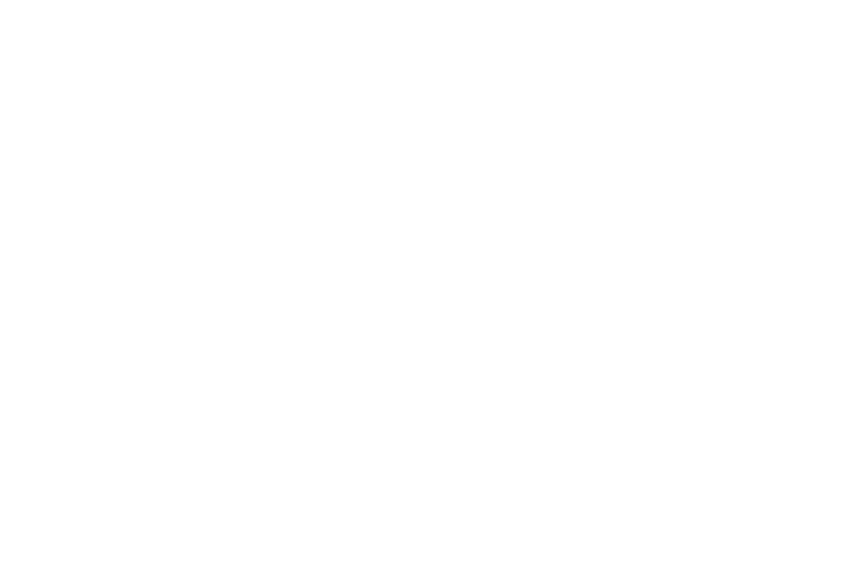 logo of the deutsche borse photography foundation prize