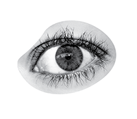 An online collaboration between The Photographers’ Gallery and Fotomuseum Winterthur, Switzerland.