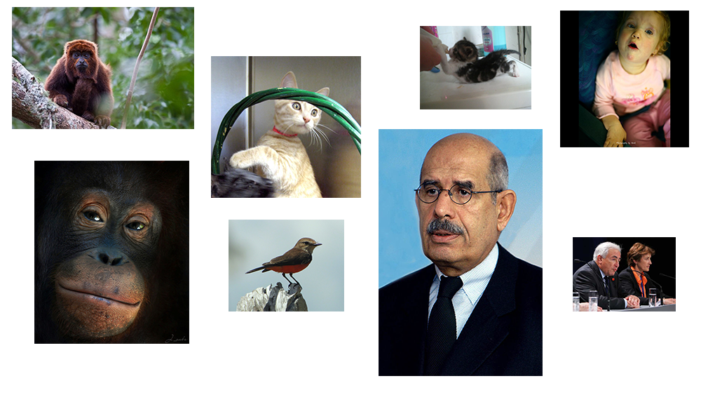 ImageNet synset n00004475: organism, being