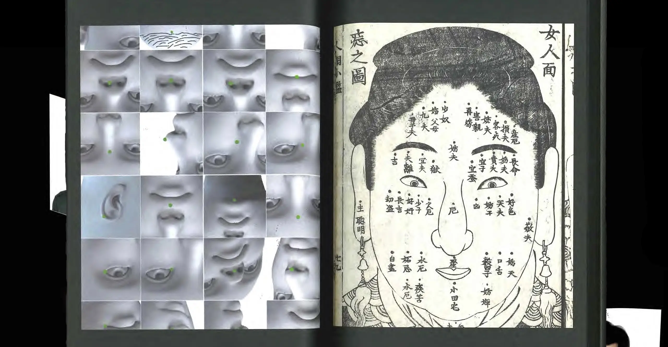 An open book with renderings of a face on the left and a drawing of facial readings on the right