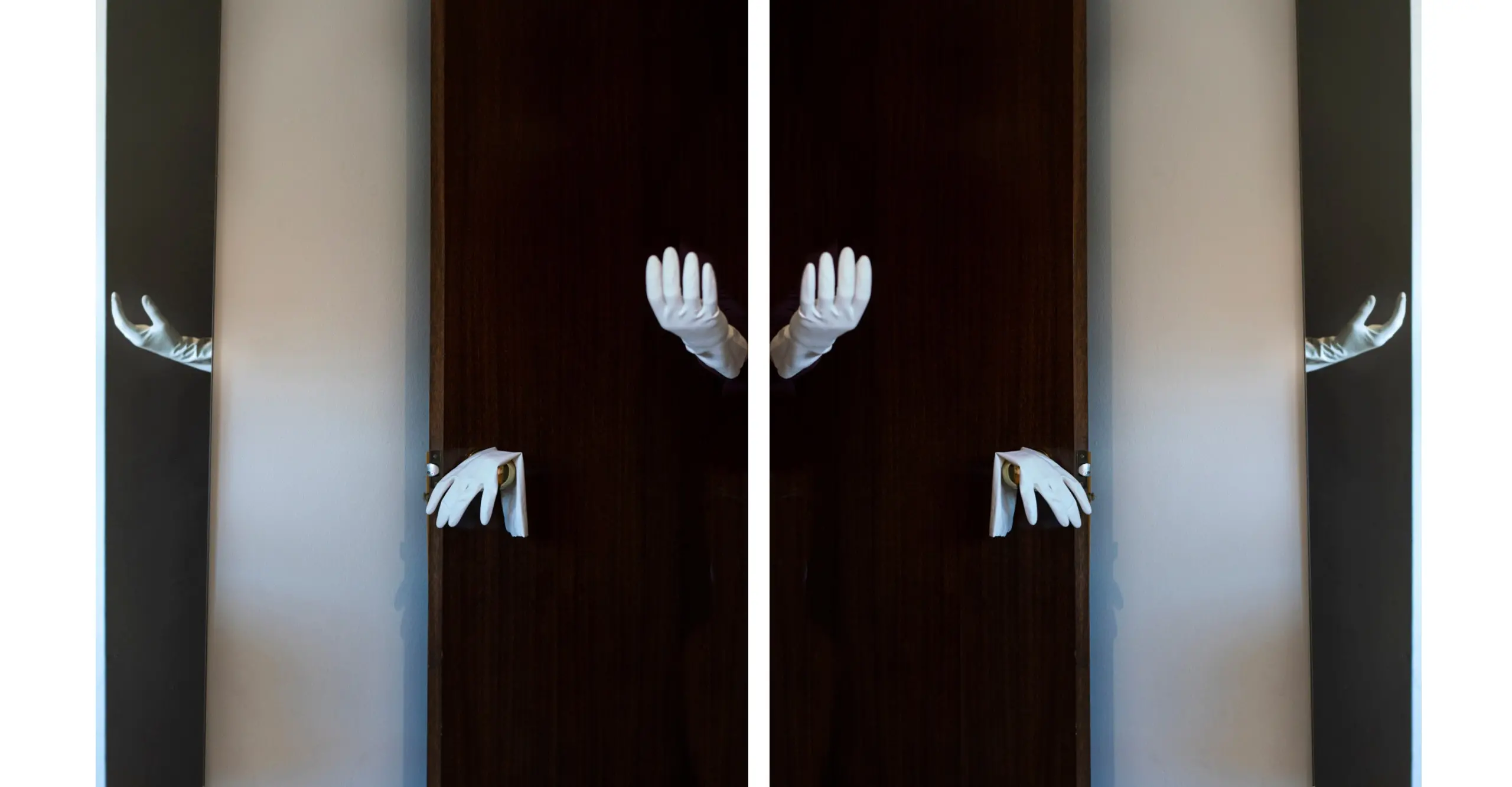 Diptych  of white gloves 
