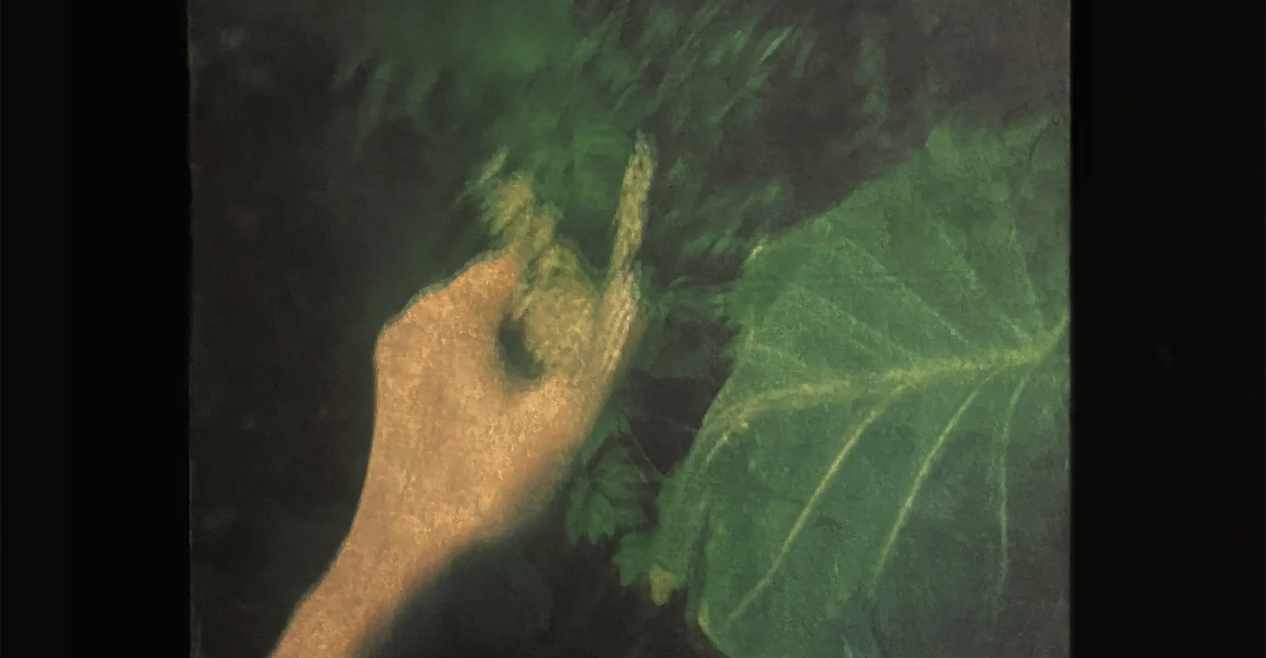Colour photograph of an outstretched arm holding on to green leaves