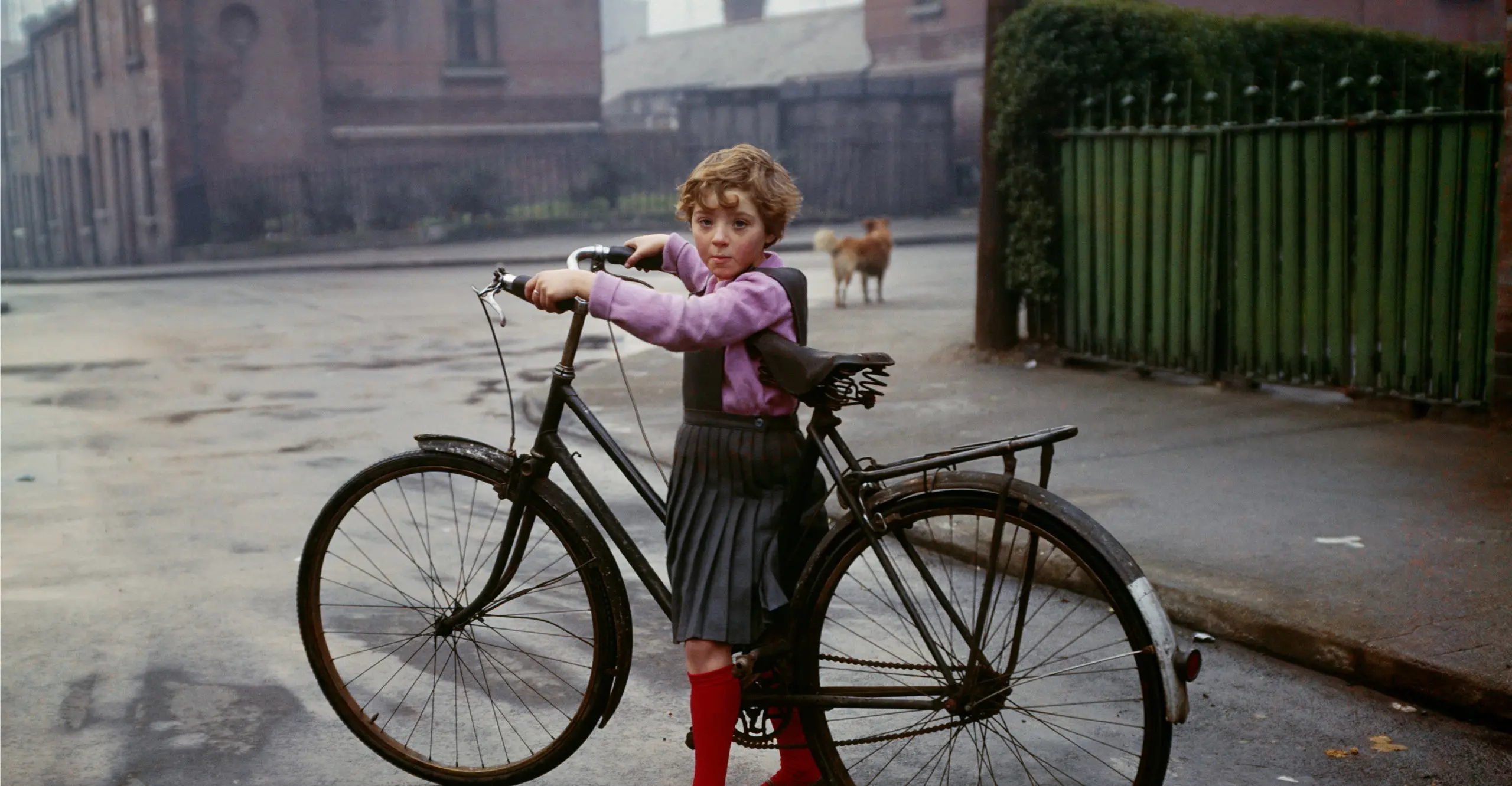 Colour photograph of a young girl standing with a large bicycle, looking directly at the camera. There is a street scene behind her and a small dog on the corner of the street in the background