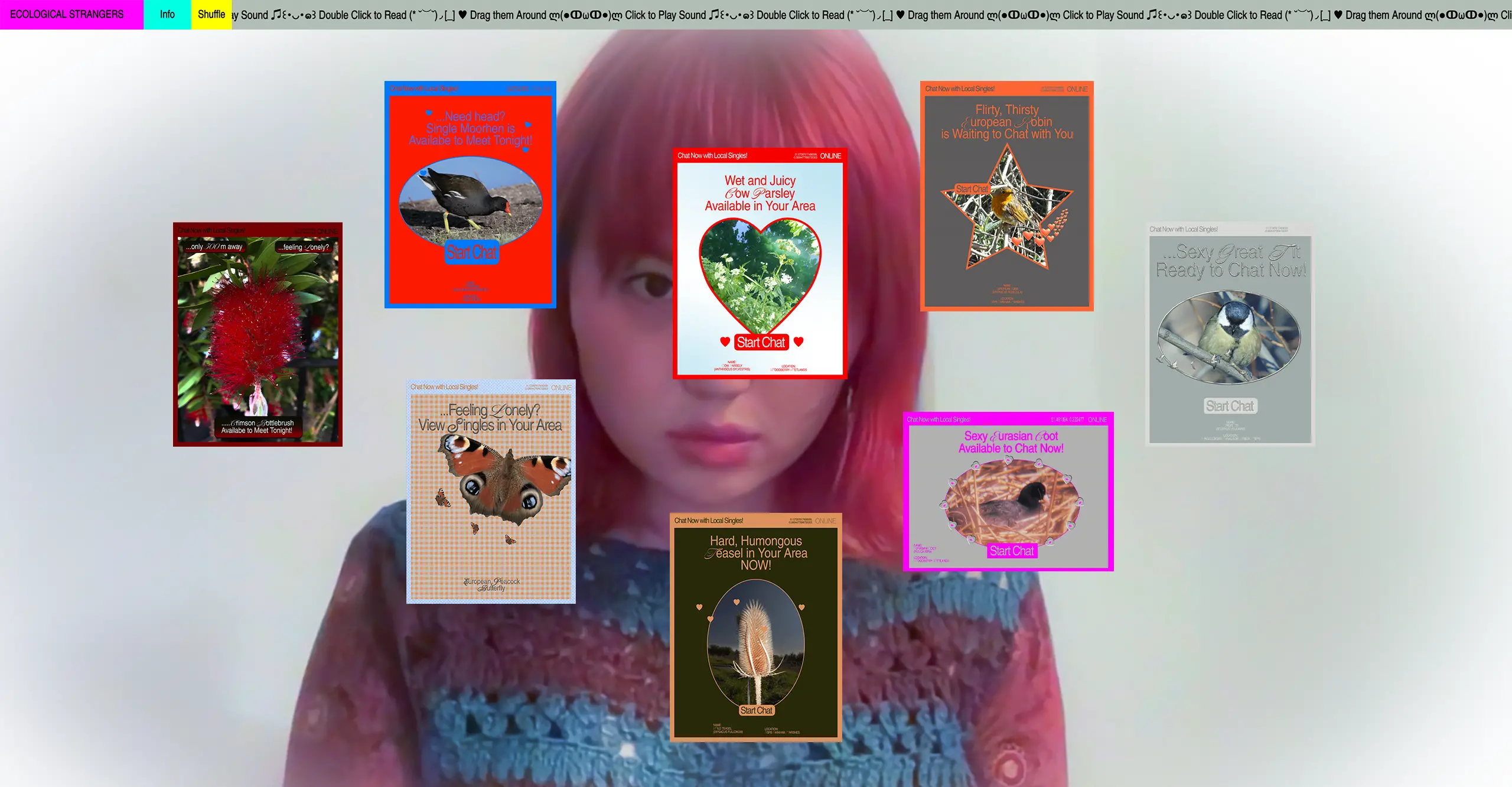 A screen shot of the webpage for Ecological Strangers, a webcam image of the artist in the background with pop up posters of plants and birds in the foreground