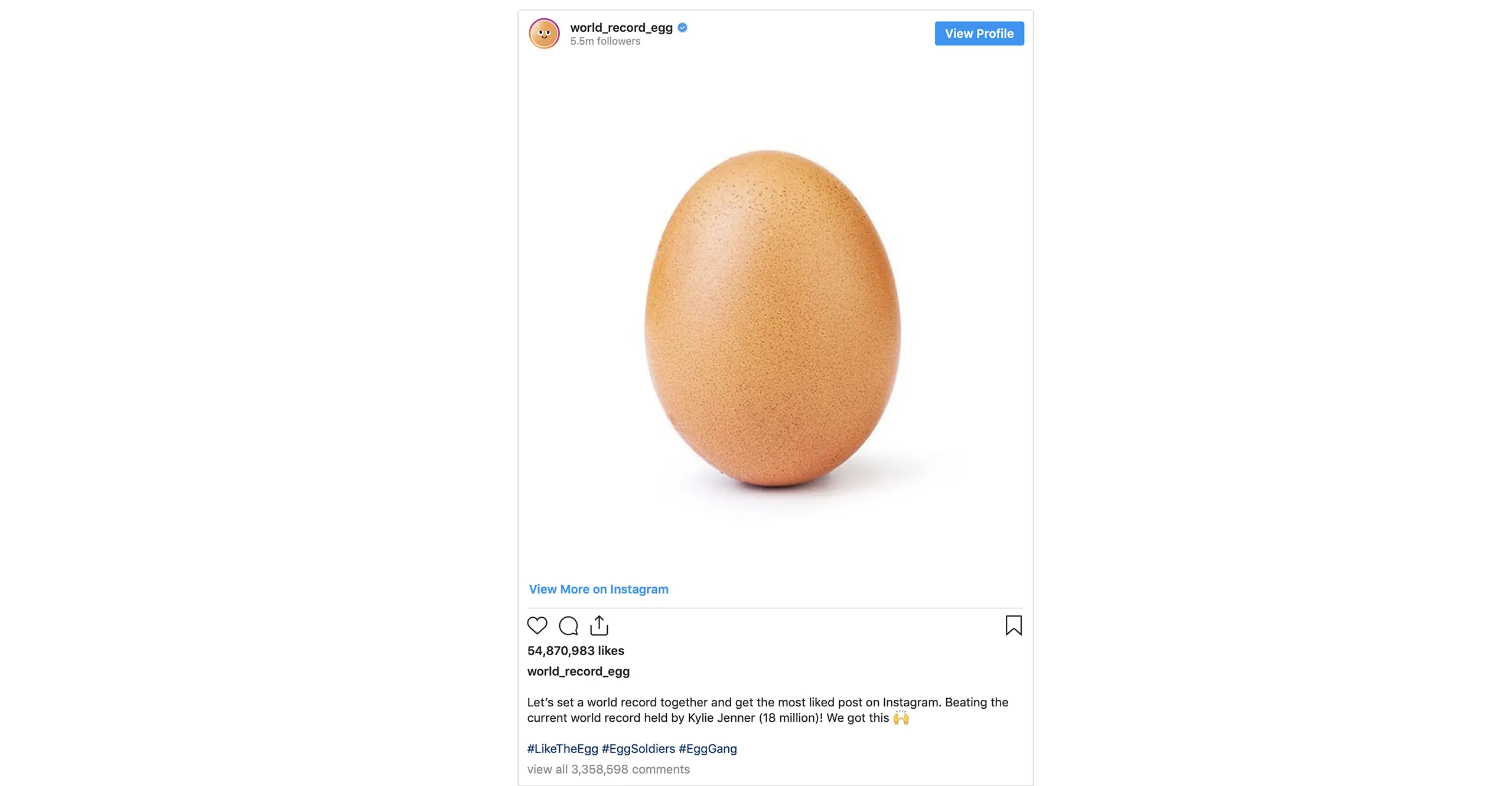 Collecting Social Media - world record egg image