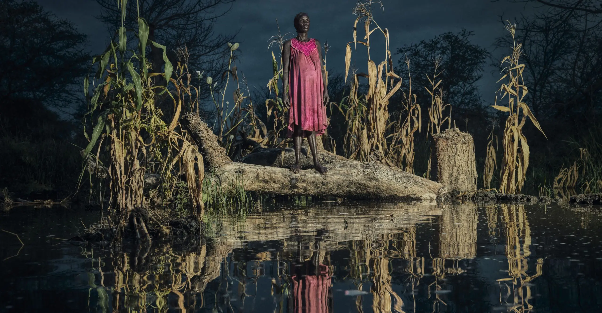 Colour photograph of woman standing on tree trunk during flooding