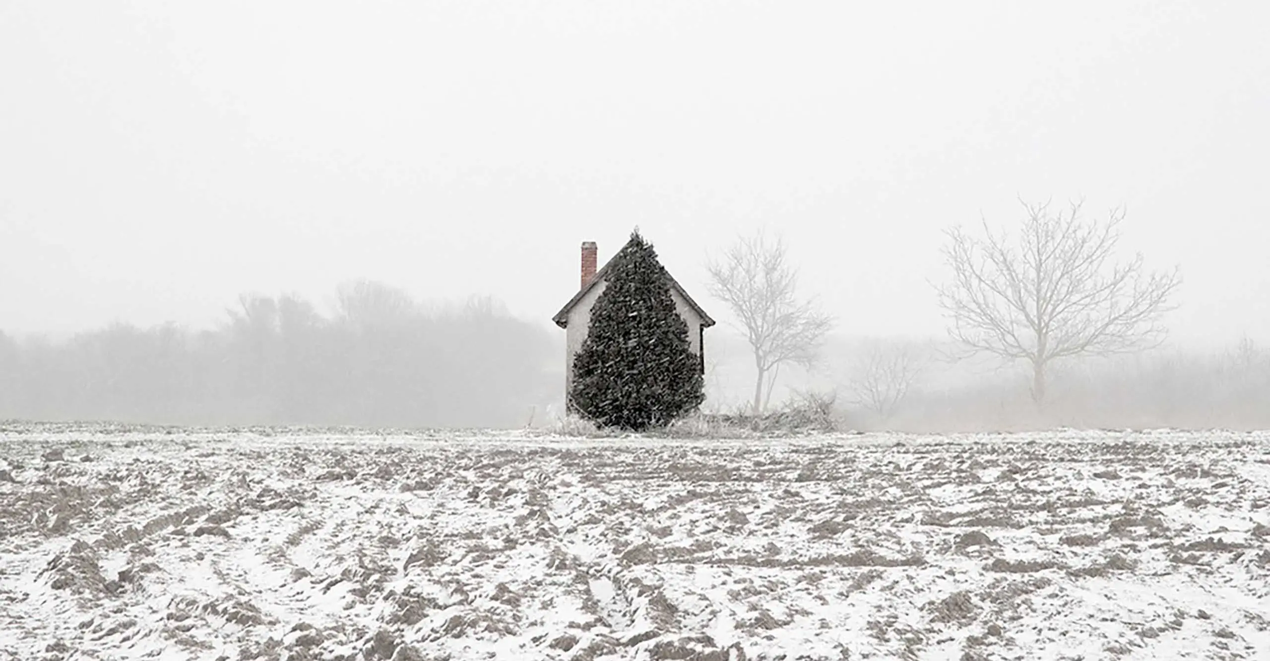 Tree and house in the snow