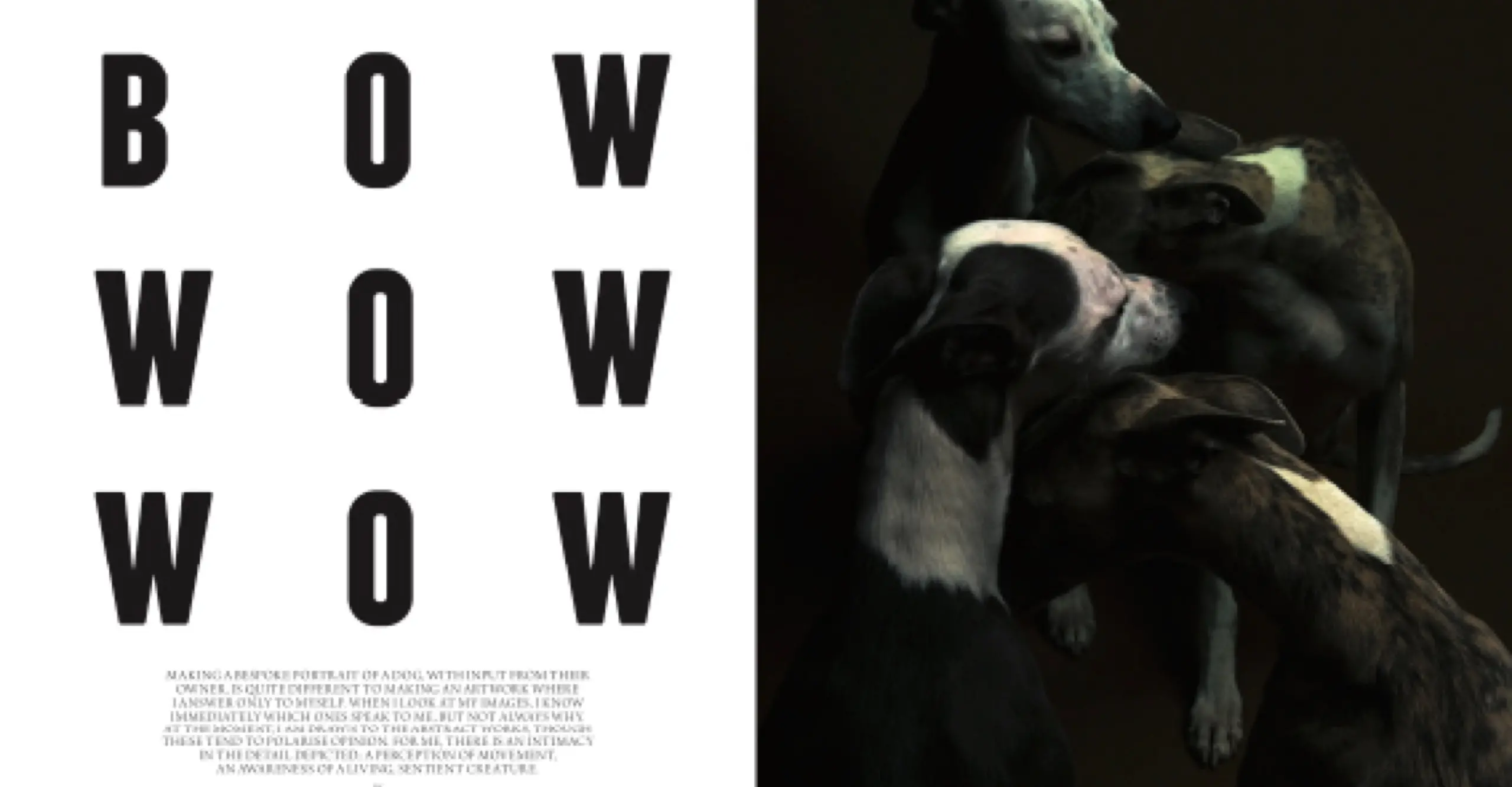 Magazine spread with Bow Wow Wow and smaller text on left and photo of slumbering dogs on the right.