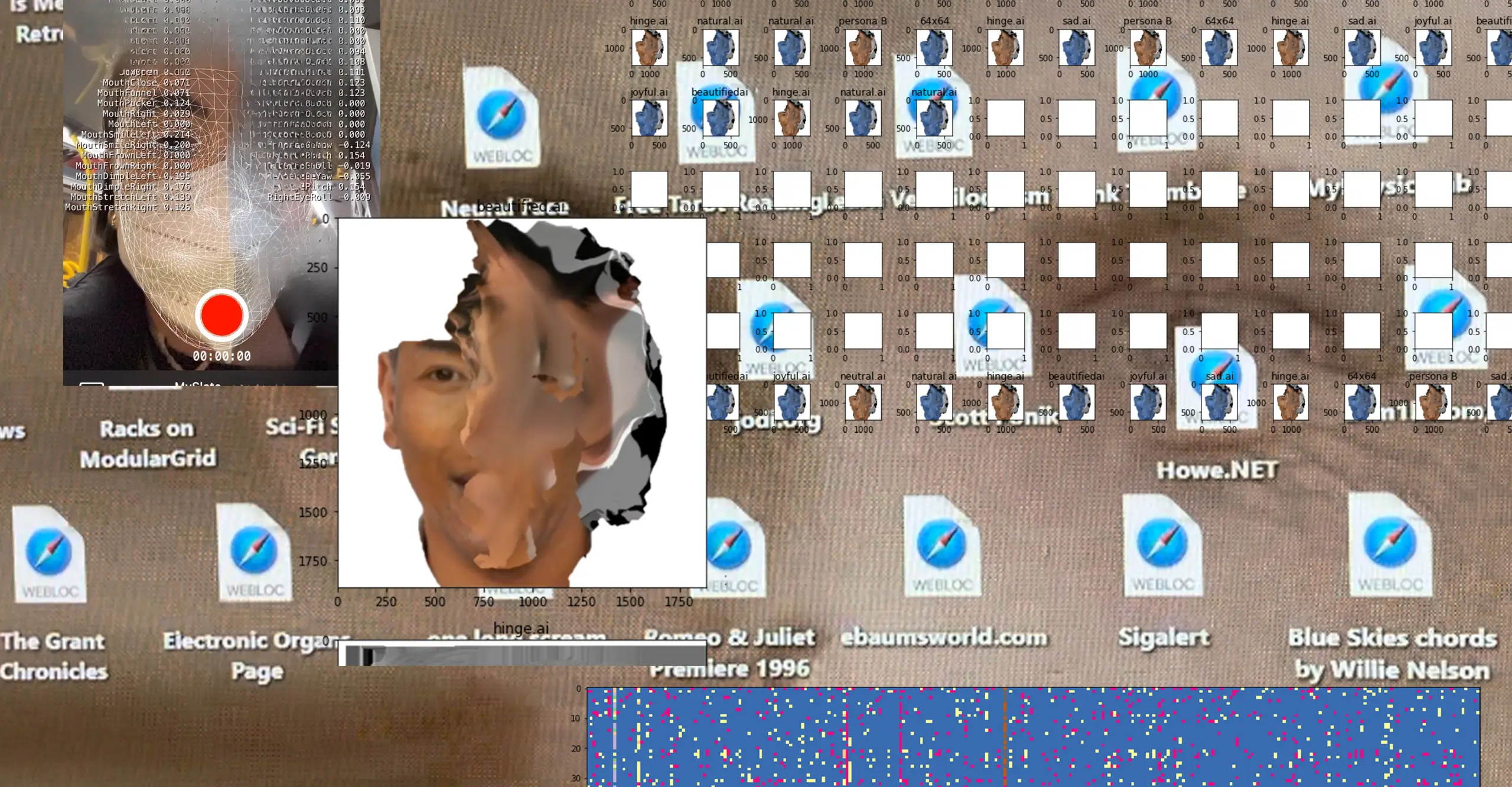 A computer desktop featuring warped photographs of heads, glitches, and many shortcut icons