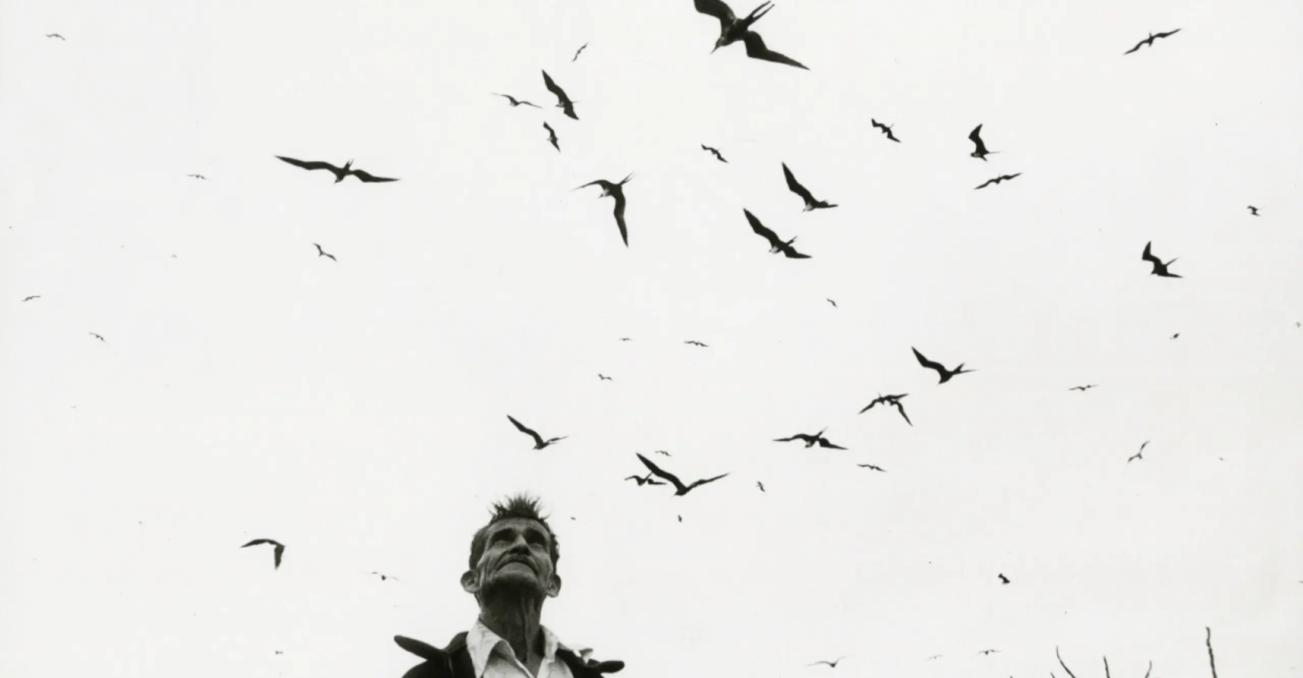 Black and white photograph of an old man looking up at birds in the sky.
