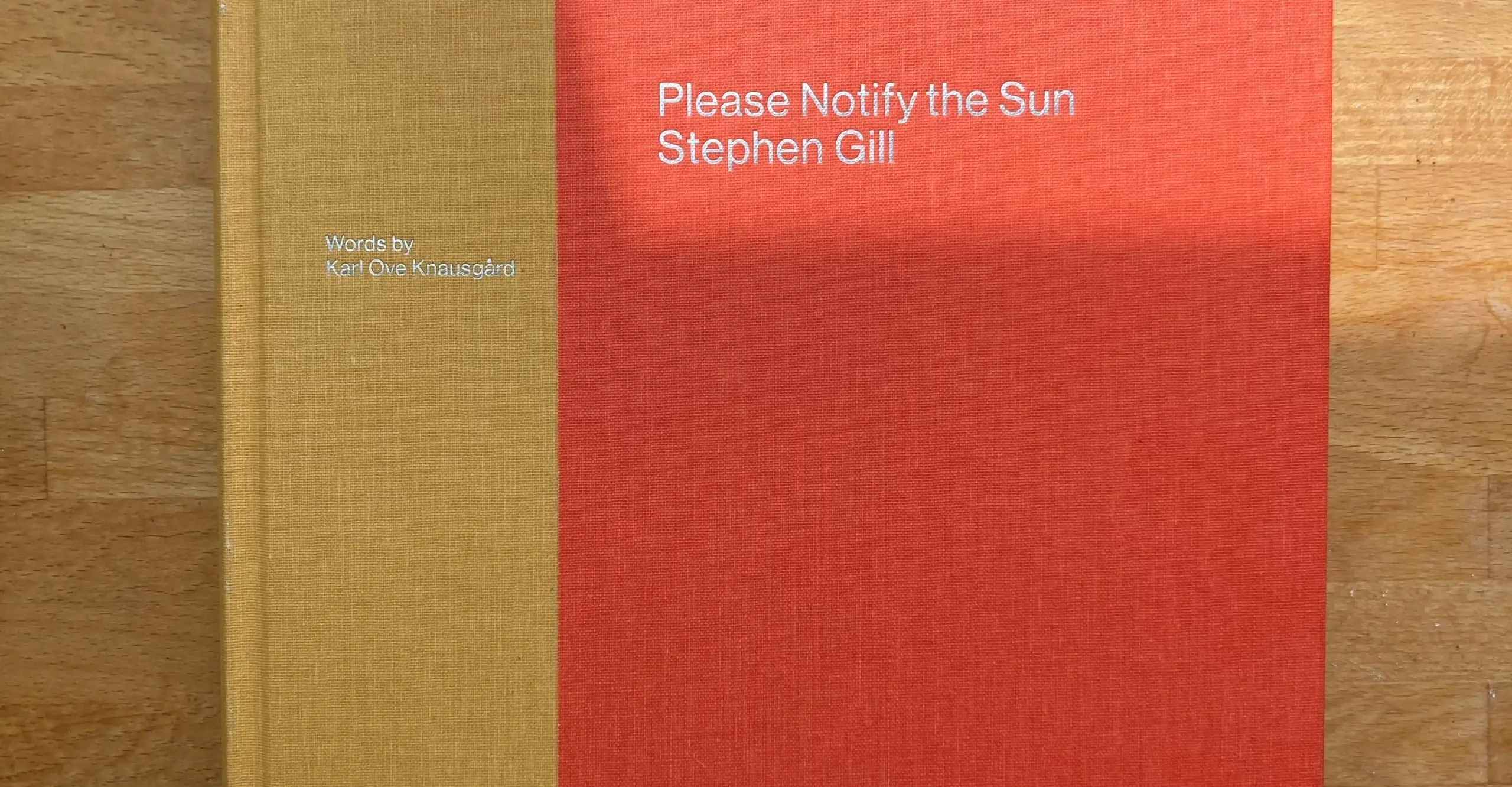 Stephen Gill Please Notify the Sun