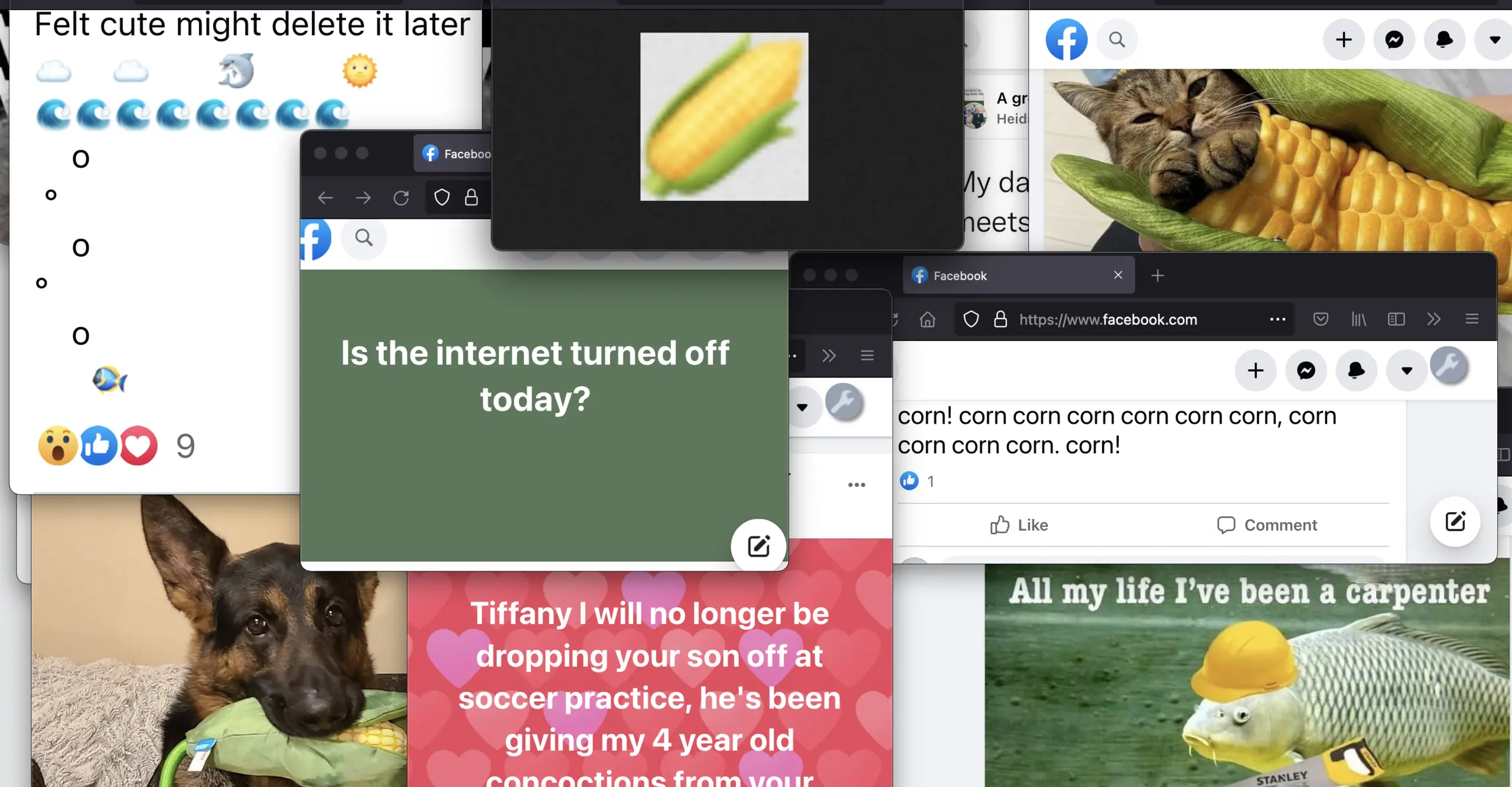A collection of screenshots from the internet including pictures of corn, dogs, cats, and a central text reading 'is the internet turned off today?' 
