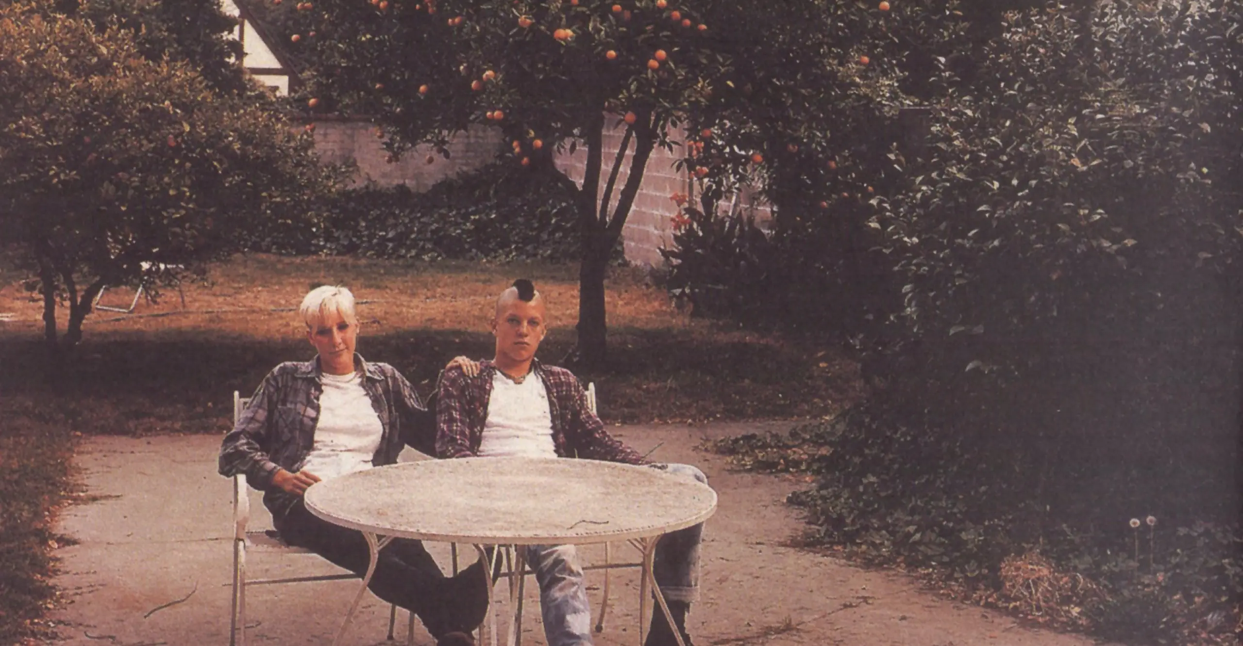 Two people sit in an orchard at a table