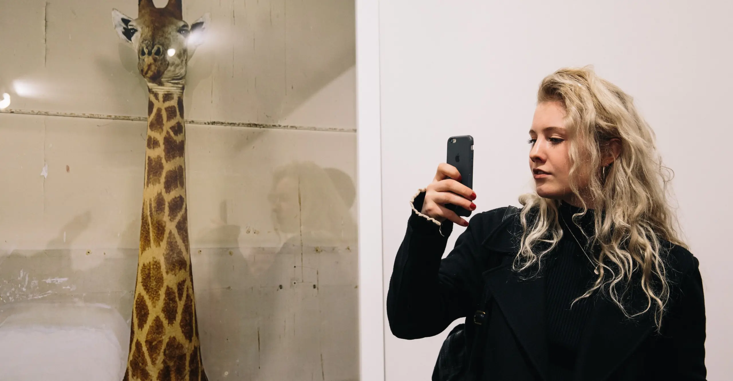 A woman takes a photo of her phone next to a photograph of a giraffe