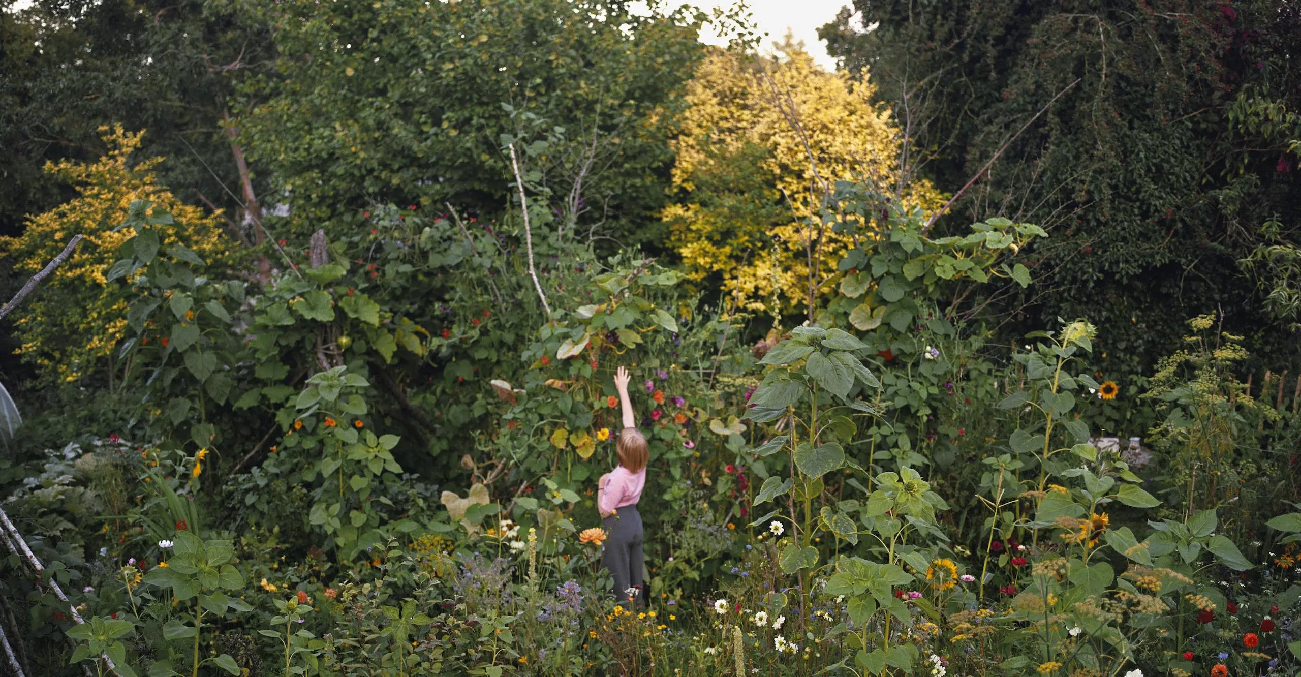 Colour photograph of a person with an outstretched arm, reaching up to grab a leaf in the middle of a garden