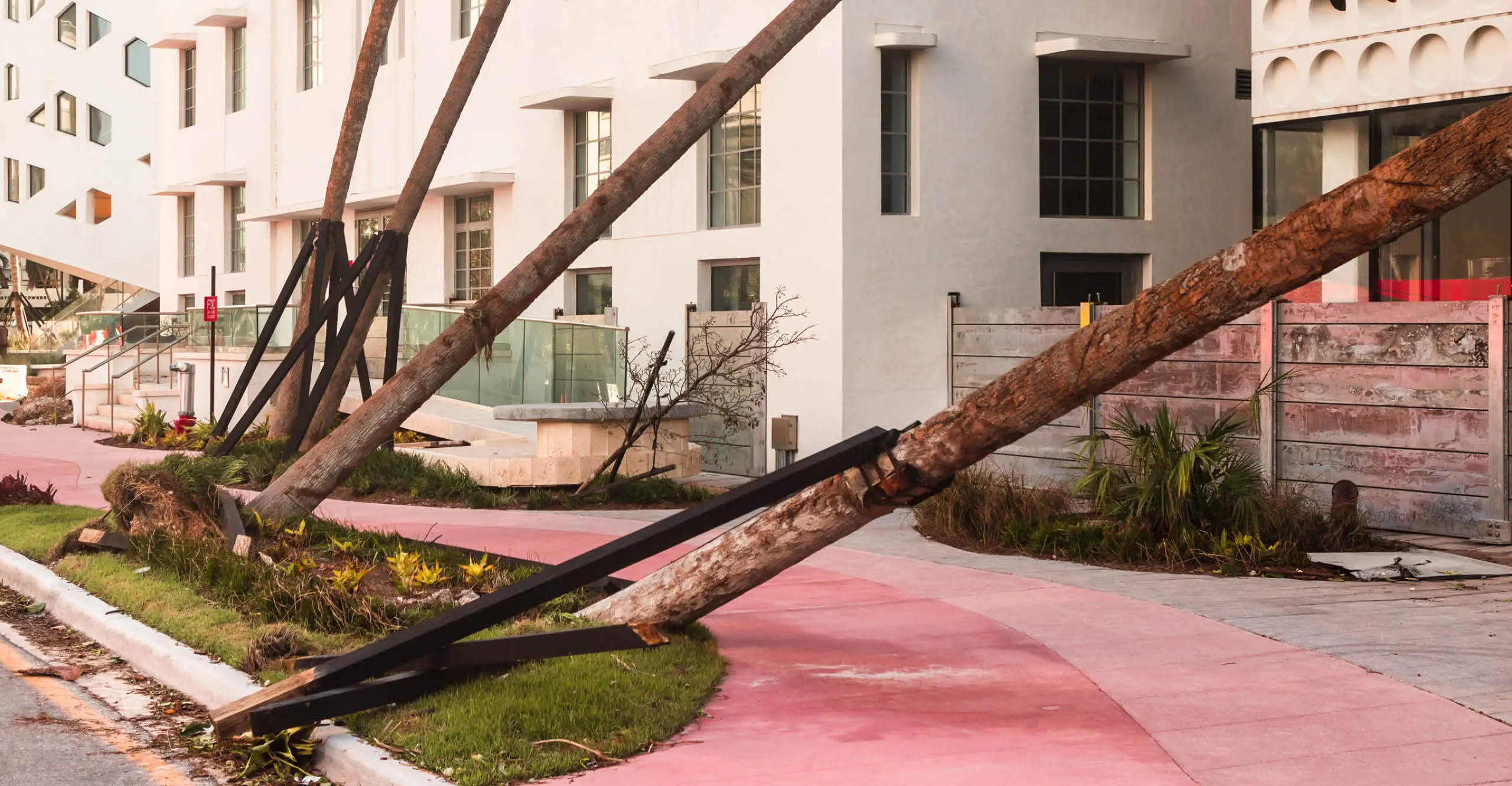 photograph of a pink sidewalk by Anastasia Samoylova at the photographers gallery