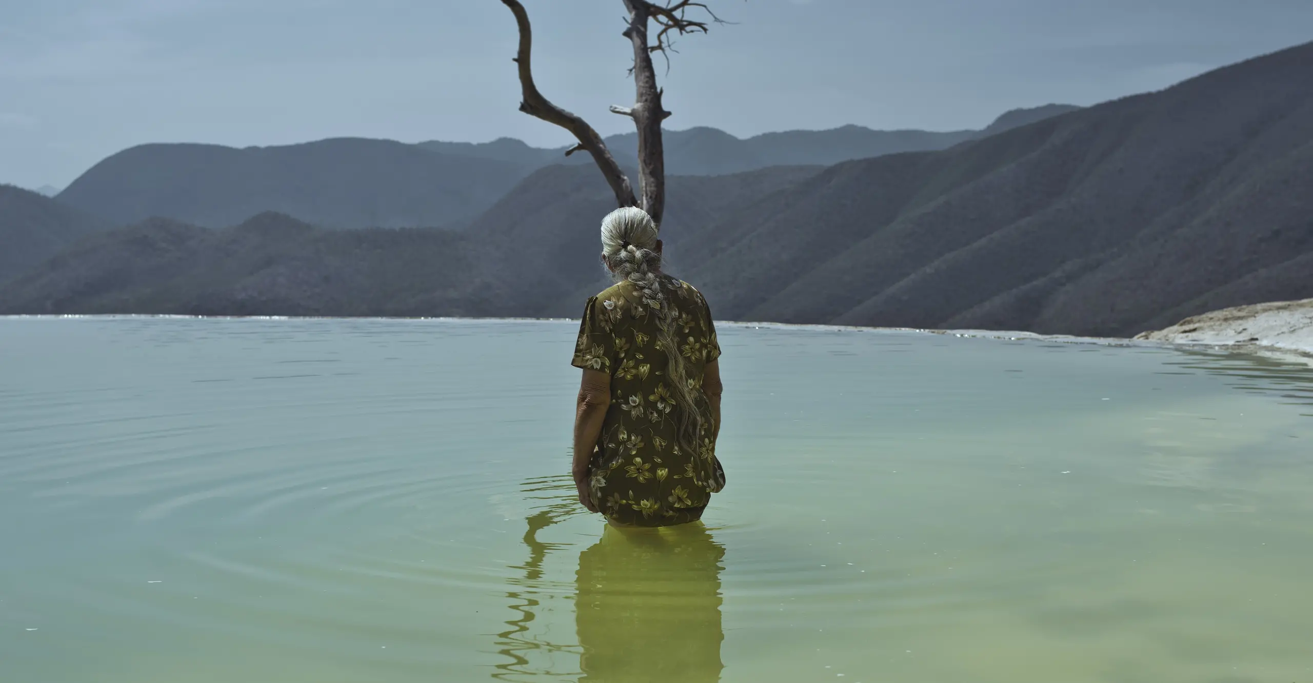 Colour photograph of the back of a greyhaired individual stood in the middle of a green body of water looking out to the surroundings.