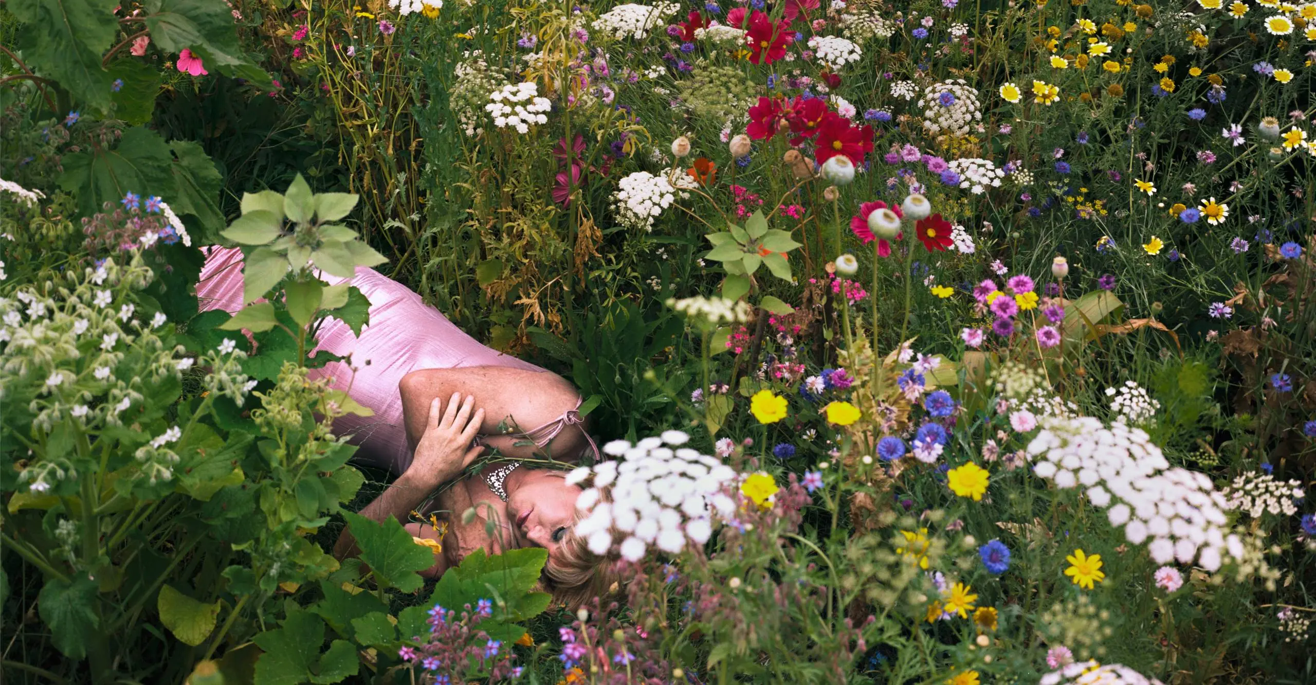 Colour photograph of a person laying down in a garden wearing a pink dress and surrounded by wild flowers