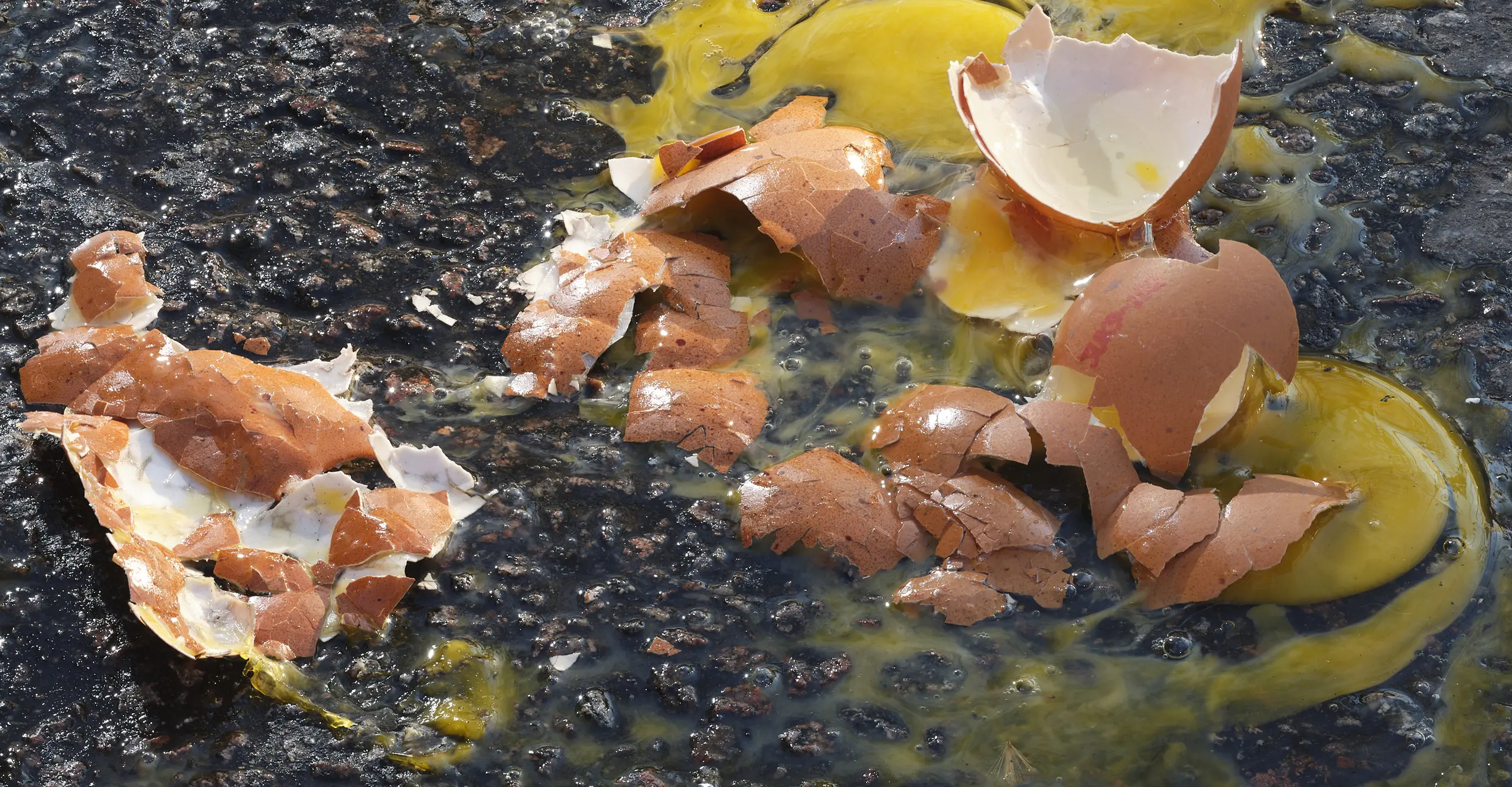 photo of broken eggs in street