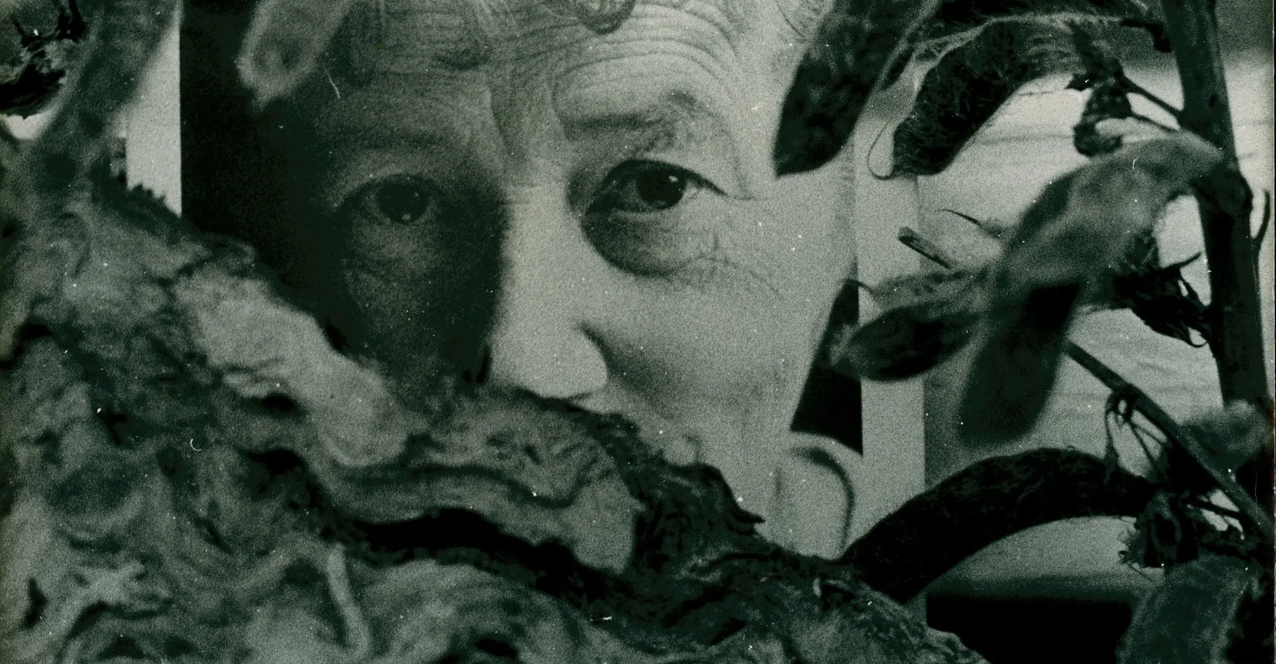 Close up on Zofia Rydet in black and white