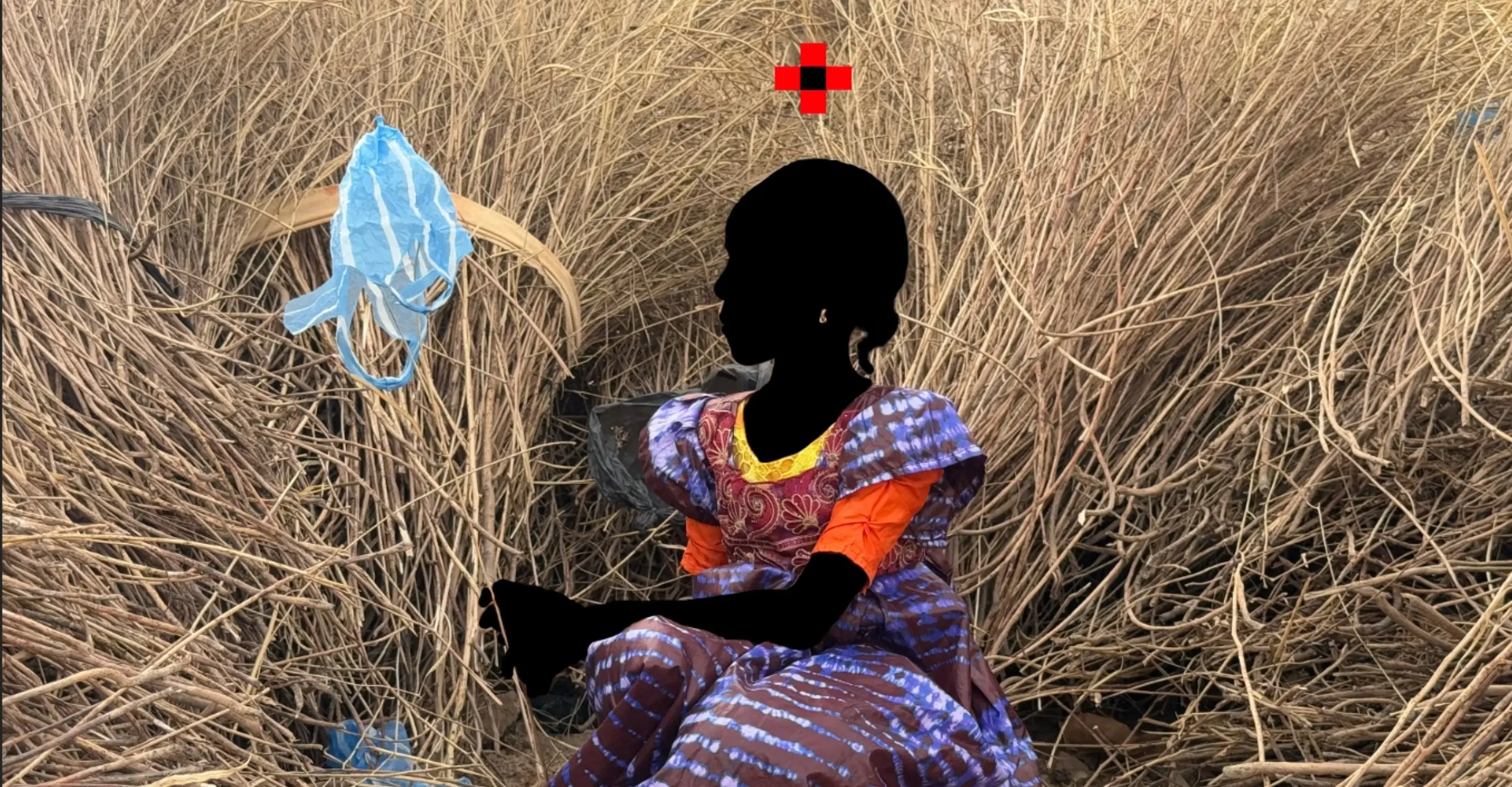 A photograph of a young woman sat in tall dry grass wearing a dress in a traditional West African pattern. The phot has been edited so her figure cut out to appear in shadow.