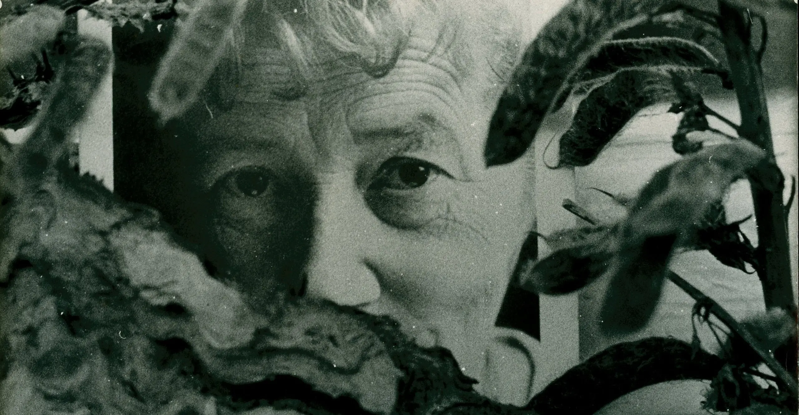 Black and white close up image of Zofia Rydet peering through some leafy twigs.