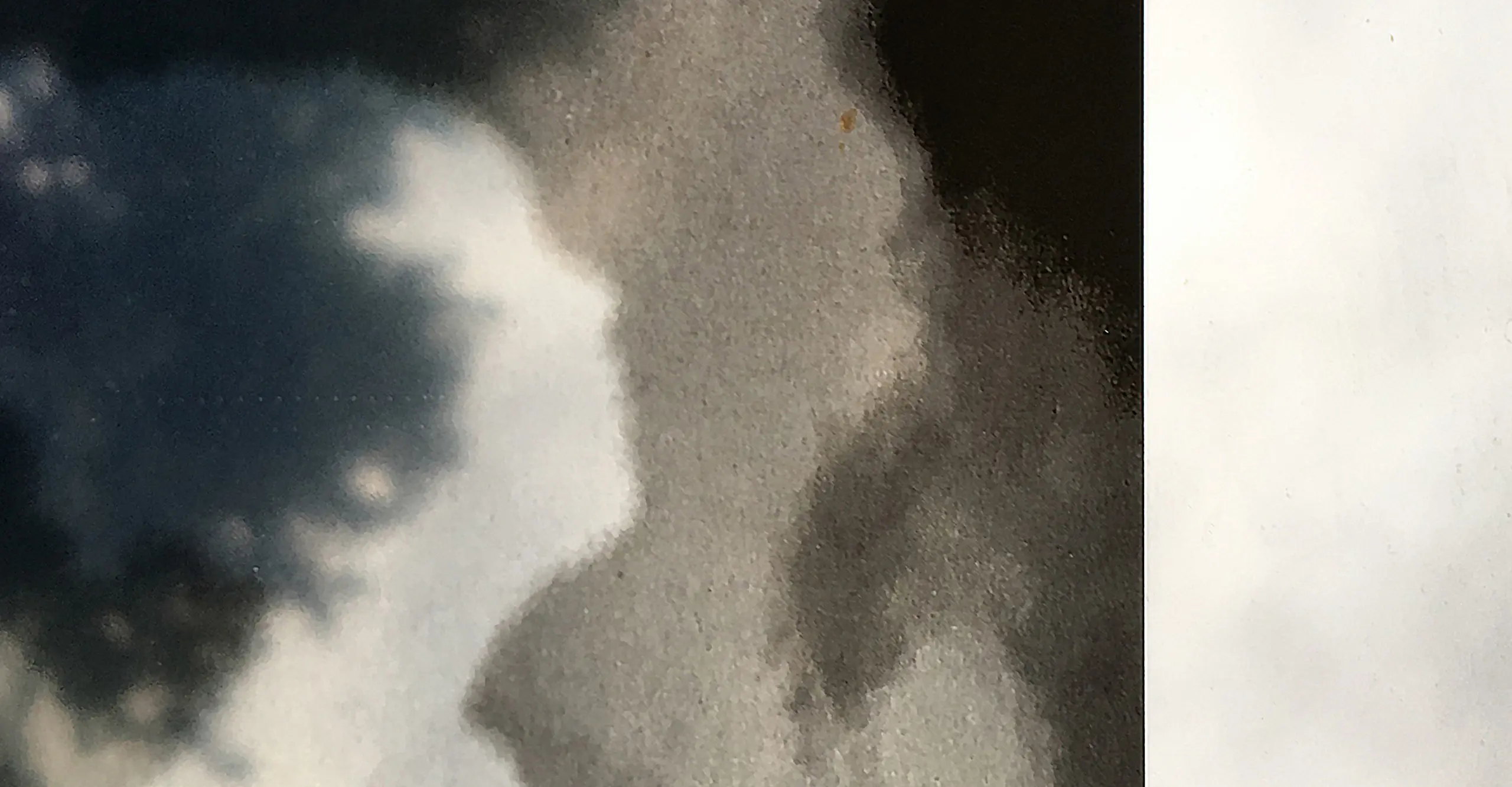 Light-filled colour photograph of blurry tree, profile face and clouds.