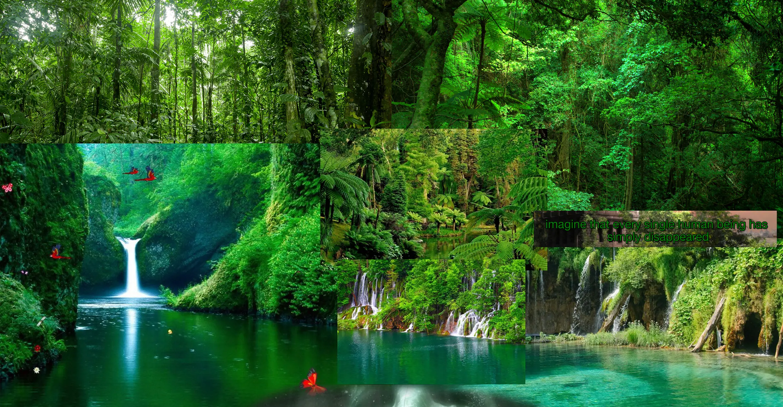 A digital collage of a river on a jungle made of overlaid jungle photographs and the sentence "imagine that every human being has simply disappeared" 