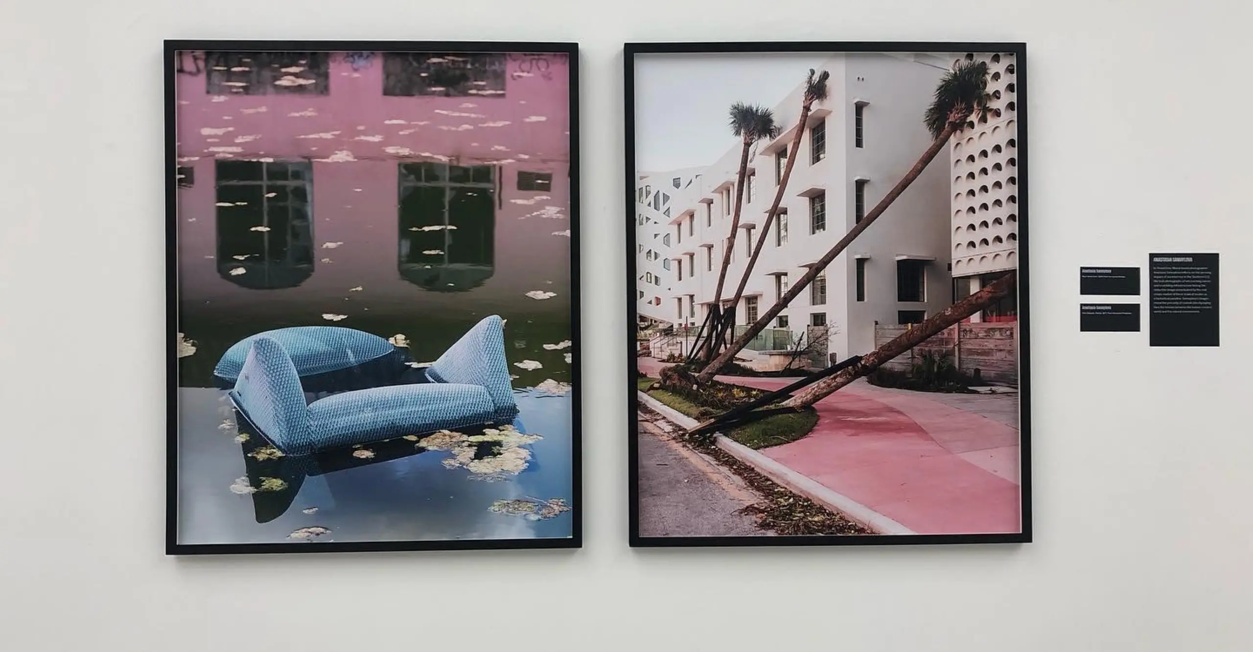Two images, the first of blue furniture submerged in flood water, the second of palm trees and a pink street 