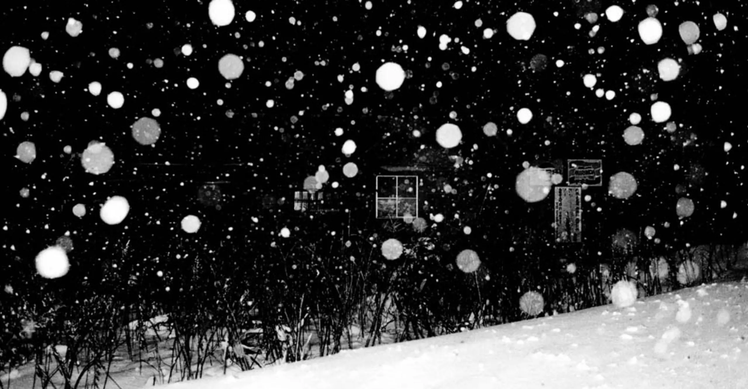 Black and white grainy photograph of a night time snow scene with flash lit snow drops