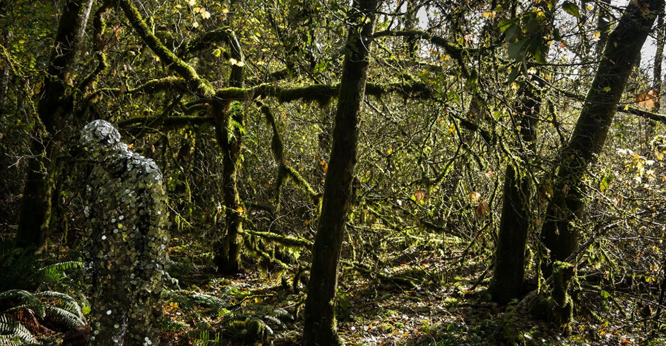 Image of a forest, with a human form covered in reflective metallic circles on the righthand side 