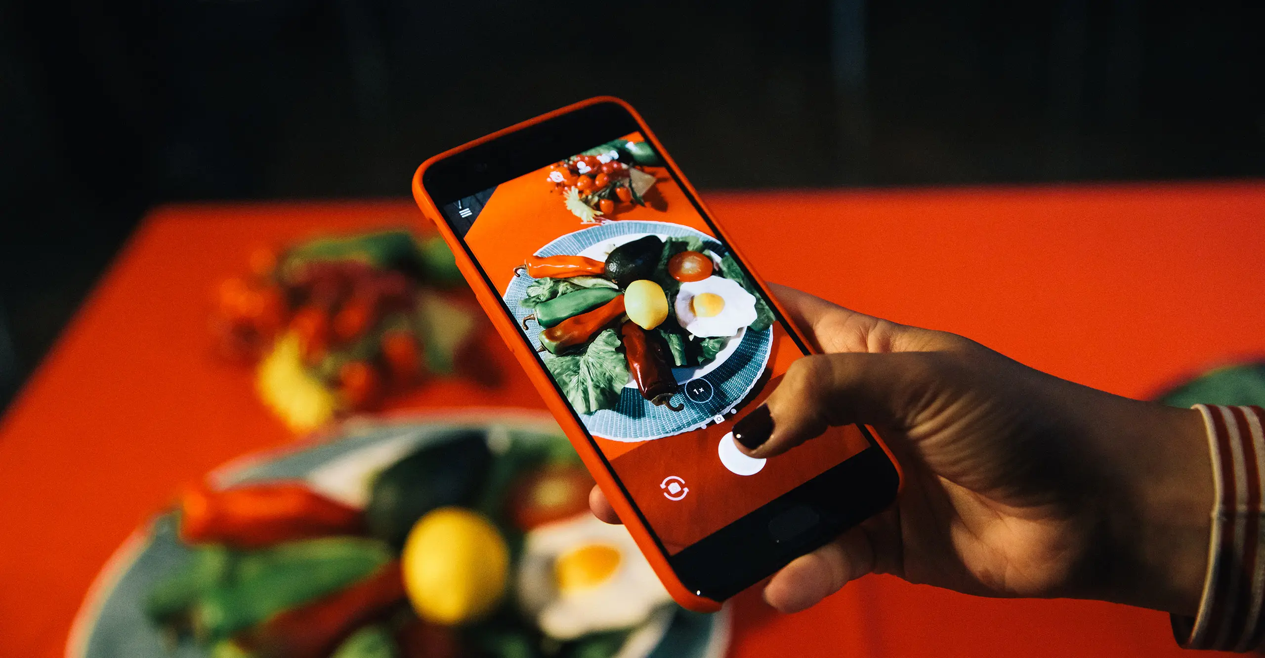 A person takes a photo of a plate of food using a mobile phone