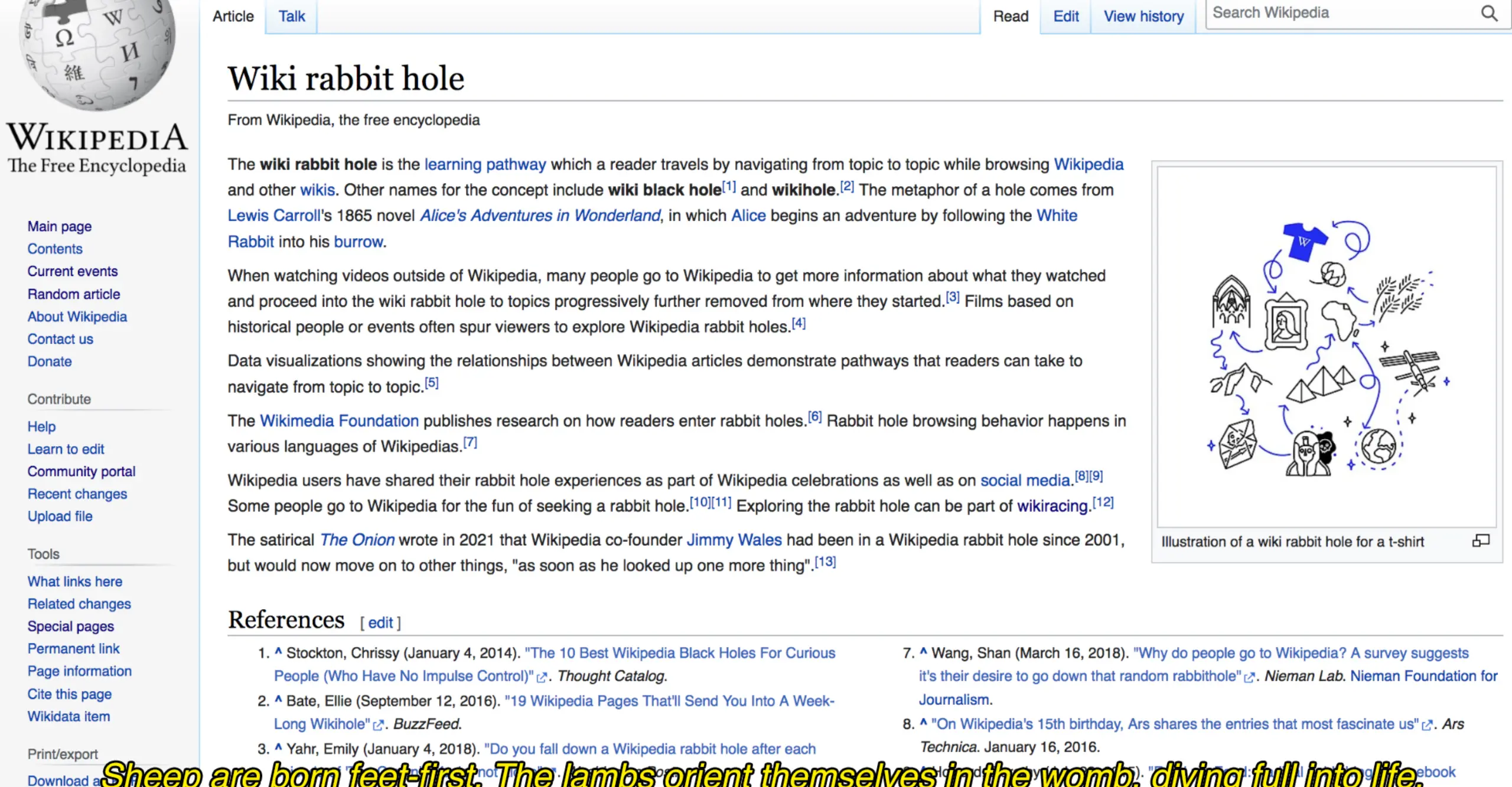 A screen capture of the 'Wiki rabbit hole' Wikipedia page with the caption "Sheep are born feet-first. The lambs orient themselves in the womb, diving full into life" overlaid. 