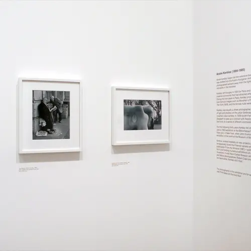 Install shot: Andre Kertesz - On Reading, 2009