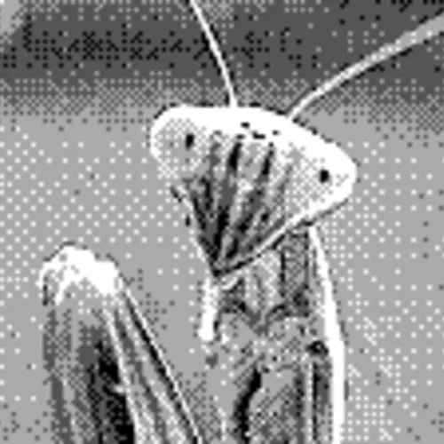 A pixelated black and white close up photo of a mantis