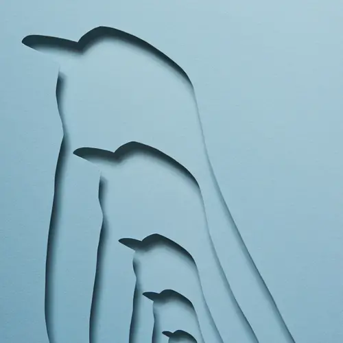 A photograph of layered cut out bird silhouettes with a small bird within them. 
