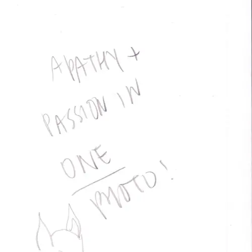 Postcard with writing and pencil drawing of a pig's head.